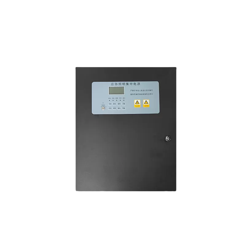 TS-D-1KVA-6350-Centralized Emergency Lighting Power Supply System​.png